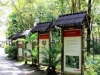 thumbs flora conservation Arboretum Nyaru Menteng