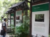 thumbs wall magazine on nyaru menteng Arboretum Nyaru Menteng
