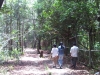 thumbs hiking trail on tangkiling Tangkiling Hill / Tangkiling Nature Reserve