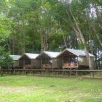 KumKum
