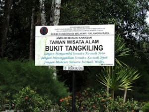 tangkiling 300x225 Tangkiling Hill / Tangkiling Nature Reserve